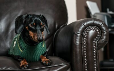 GOEDE VOORNEMENS: VOORKOM WINTERKILO’S BIJ JE HOND (EN JEZELF)